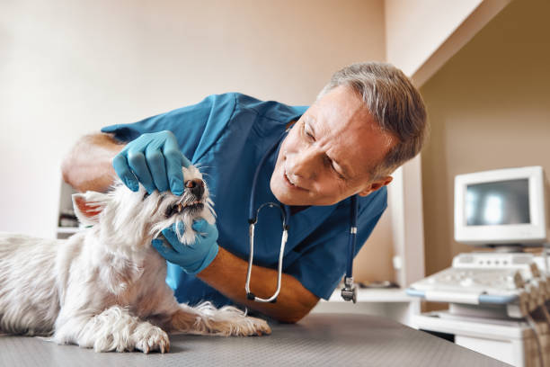Best Emergency Gum Treatment in La Junta, CO