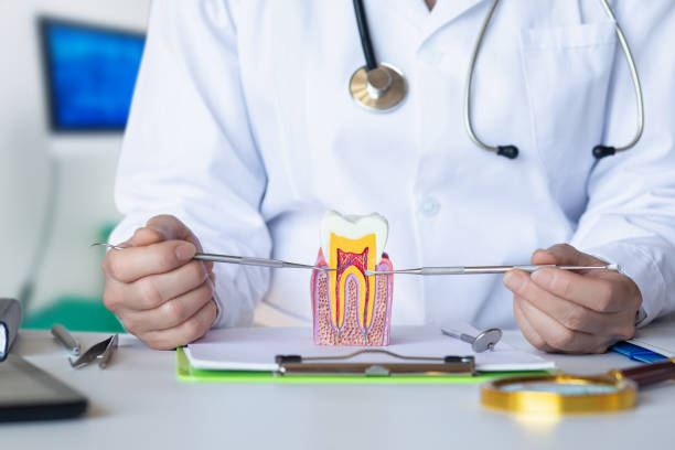 Best Cosmetic Emergency Dentistry in La Junta, CO
